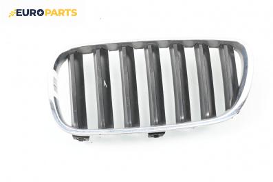 Решетка за BMW X3 Series E83 (01.2004 - 12.2011), джип, позиция: лява