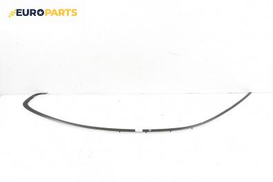 Лайсна за BMW 3 Series E90 Coupe E92 (06.2006 - 12.2013), купе, позиция: лява