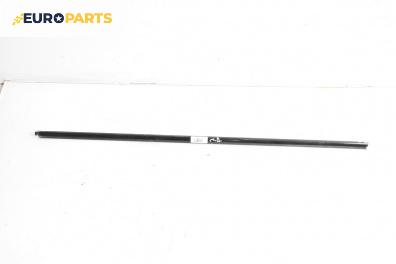 Външни лайсни за BMW 3 Series E90 Coupe E92 (06.2006 - 12.2013), купе, позиция: дясна
