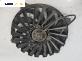 Перка охлаждане за Citroen C5 I Hatchback (03.2001 - 03.2005) 2.0 HDi (DCRHZB, DCRHZE), 109 к.с.