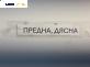Полуоска за Audi Q7 SUV I (03.2006 - 01.2016) 3.0 TDI Quattro, 233 к.с., позиция: предна, дясна, автоматик