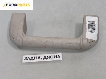 Ръкохватка за таван за Fiat Punto Hatchback II (09.1999 - 07.2012), позиция: задна, дясна