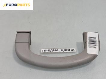 Ръкохватка за таван за Fiat Bravo II Hatchback (11.2006 - 06.2014), позиция: предна, дясна
