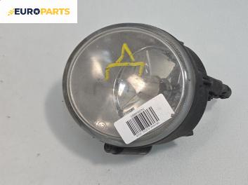 Халоген за Renault Scenic I Minivan (09.1999 - 07.2010), позиция: дясна